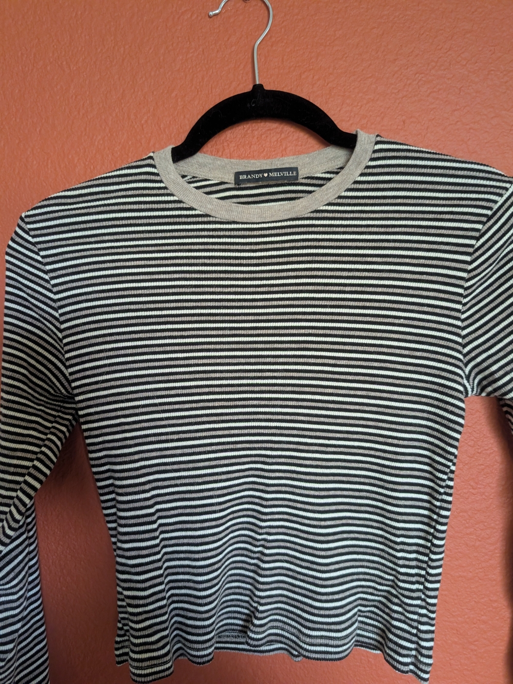 Brandy MelvilleStriped Long Sleeve Crop Top Black & White Like New